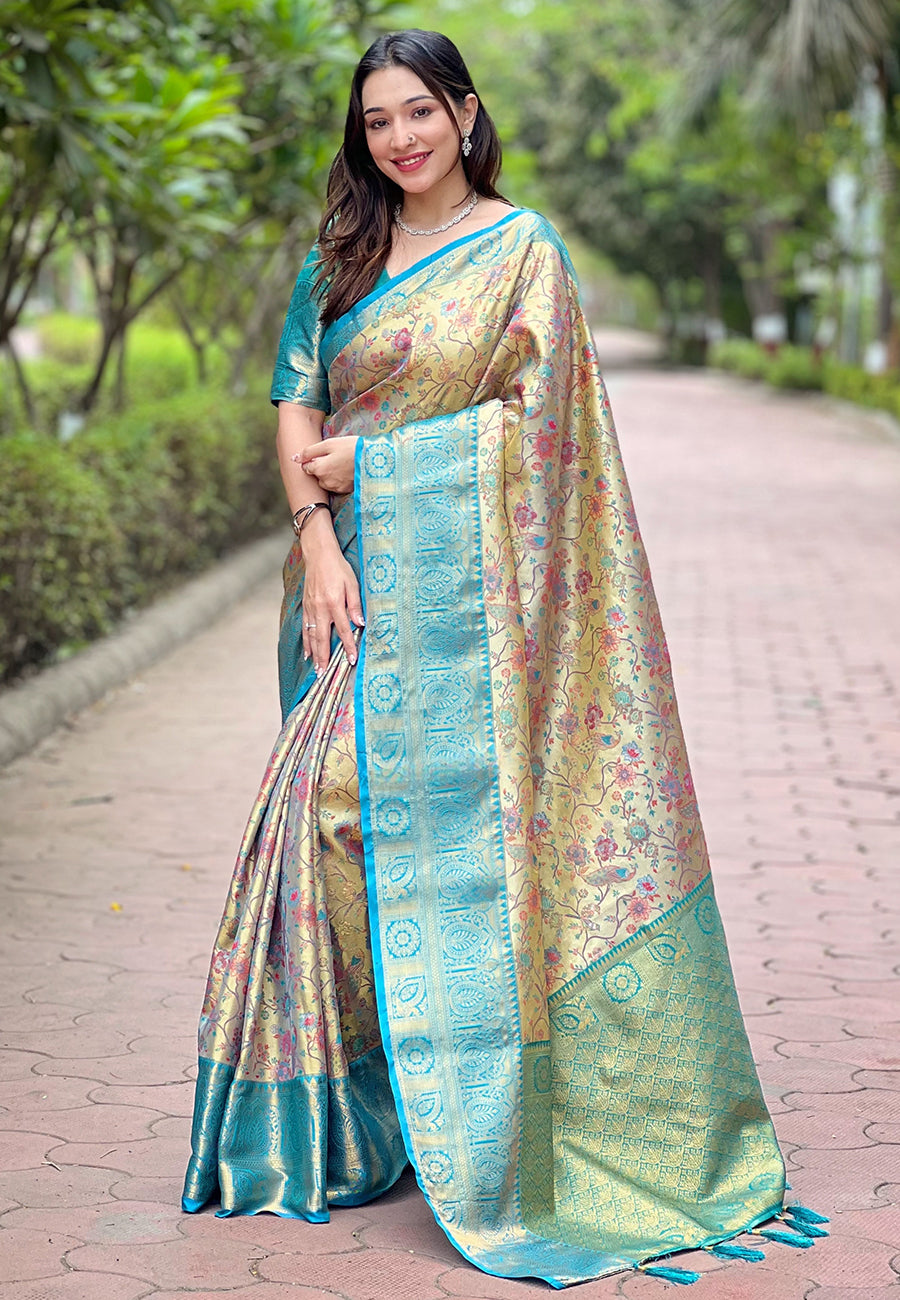 Pure Dharmavaram Silk Meenakari Zari Saree