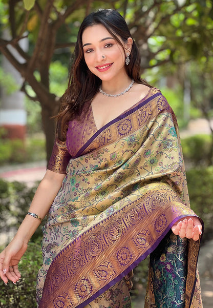 Pure Dharmavaram Silk Meenakari Zari Saree