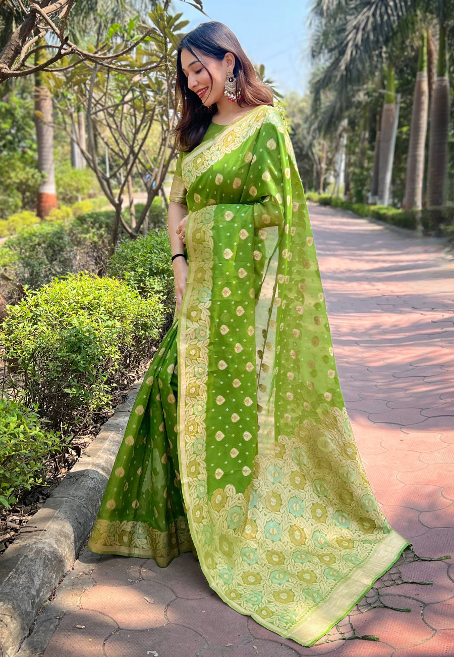 Pure Organza Meenakari Zari Woven Saree